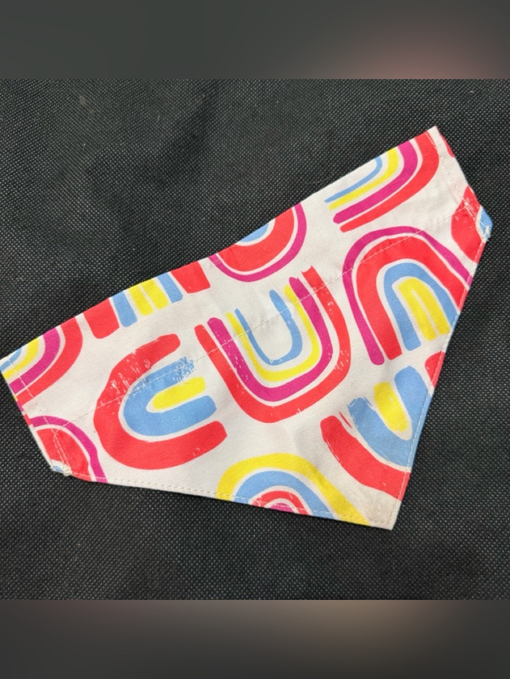 PetSmart “You Are Loved” Dog Bandana vibrant multicolor rainbow - used